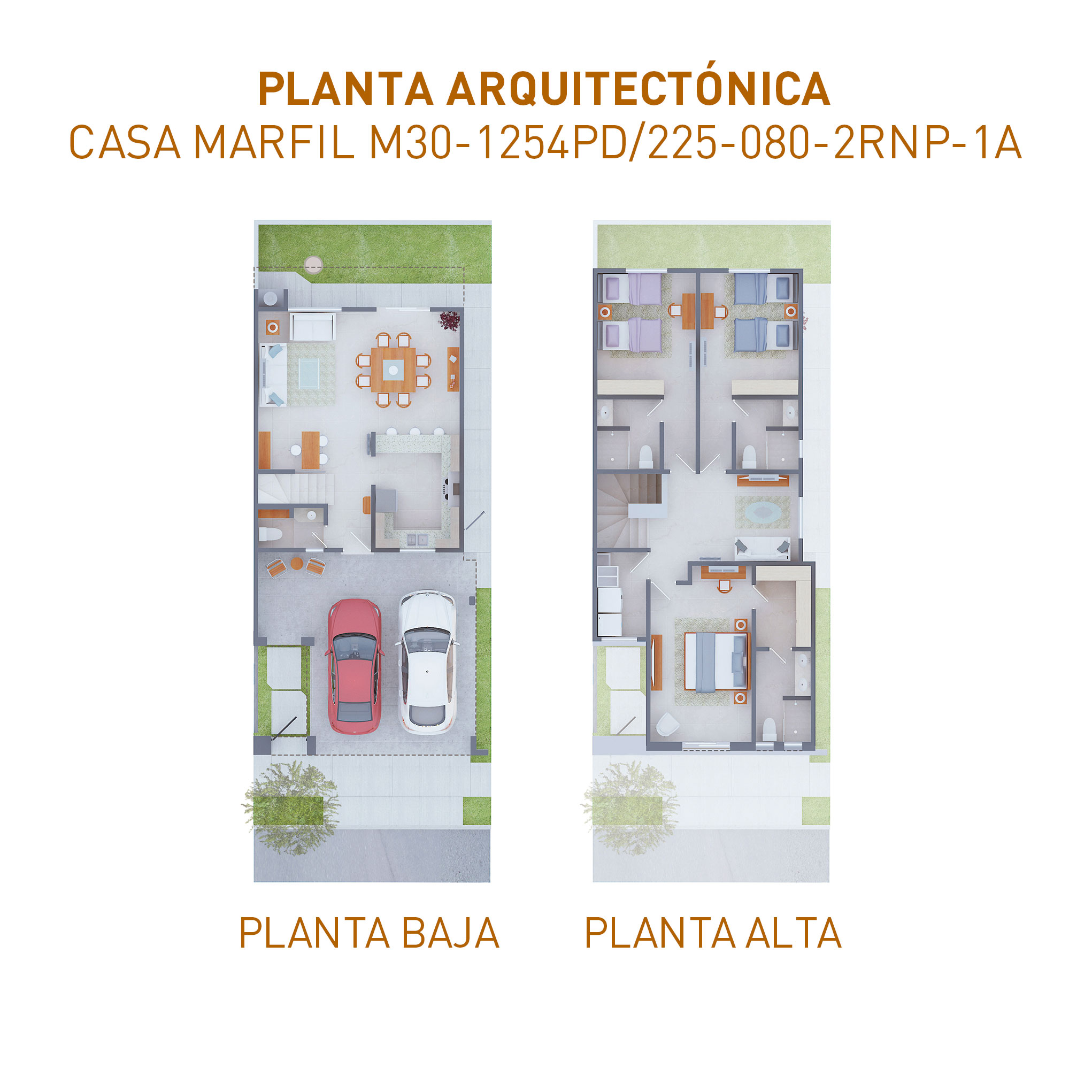 PLANTAS-M30-1254PD-225-080-2RNP-1A-141122