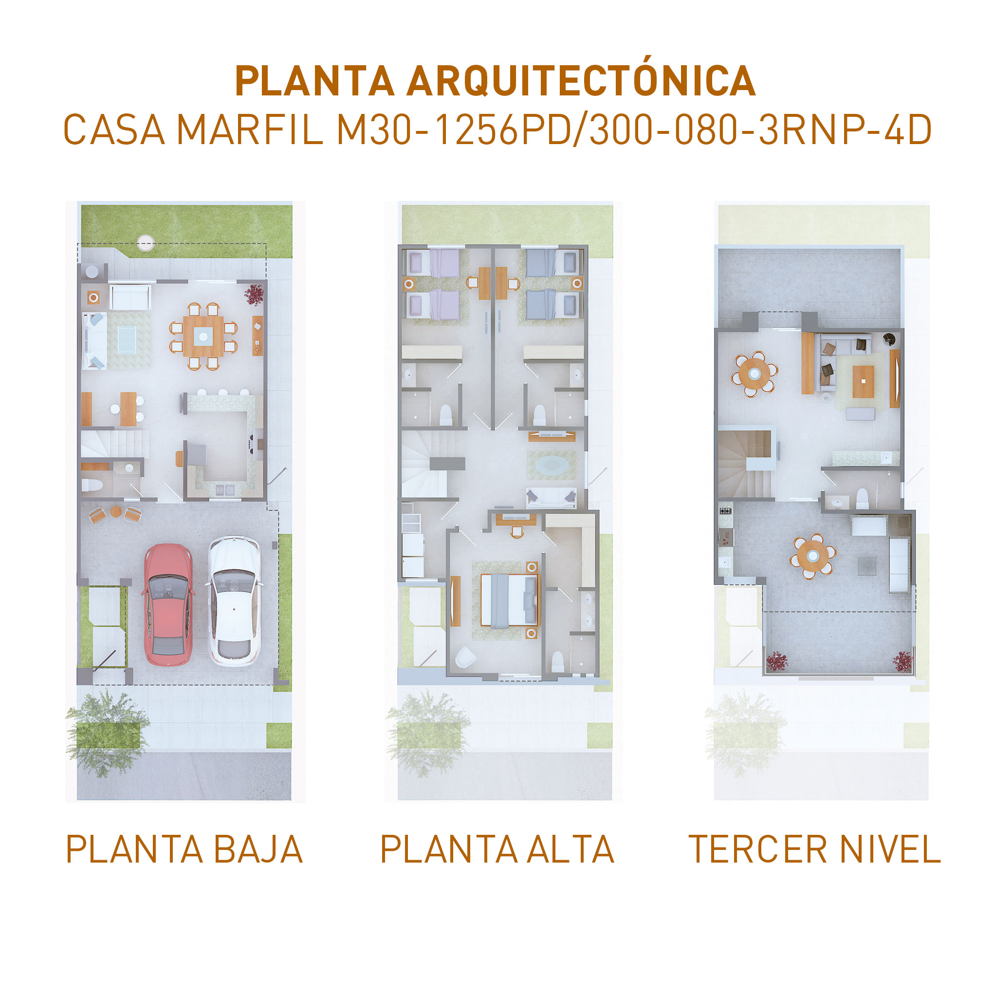 PLANTAS-M30-1256PD-300-080-3RNP-4D-141122